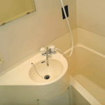 プサドゥソノラ105-5