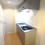 リブリ・K＆W上池台105-11