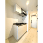 リブリ・グランパル川崎305-8