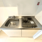 リブリ・グランパル川崎305-9