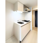 S-RESIDENCE松戸 1002-8