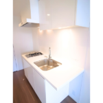 カナルフロント芝浦 409-11