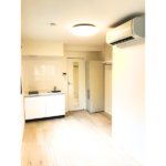 ザ・レジデンス武蔵小杉 101-3