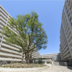 シティコート目黒１号棟 1 802-3