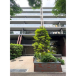 シティテラス柏 00-1