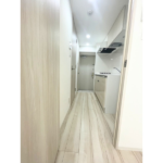 ブライズ川崎本町 203-3