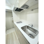 ブライズ川崎本町 203-5