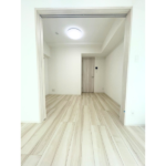 ブライズ川崎本町 203-8