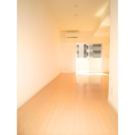 ミテッツァ大森Ⅱ 502-10