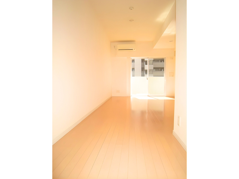 ミテッツァ大森Ⅱ 502