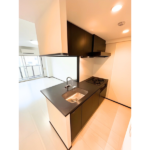 ミルーナヒルズ柏 305-10