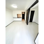 ミルーナヒルズ柏 305-12