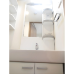 ラフィスタ川崎Ⅲ 202-3