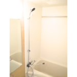 ラフィスタ川崎Ⅲ 202-6