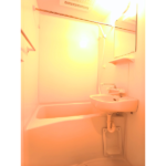 リブリ・カーサ品川南 101-10