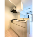 ルミーク北品川 702-5