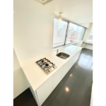 レジディア目黒Ⅲ 0502-12