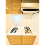 レジディア西小山 0303-12