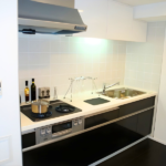 レジディア錦糸町Ⅱ 0802-2