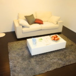 レジディア錦糸町Ⅱ 0802-9