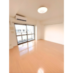 ヴィエルジュ錦糸町太平 1002-10