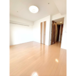 ヴィエルジュ錦糸町太平 1002-11