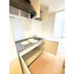 ヴィエルジュ錦糸町太平 1002-13