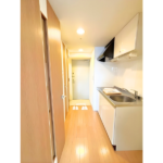 ヴィエルジュ錦糸町太平 1002-15