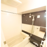 ヴィーダ・スカイコート品川 108-10