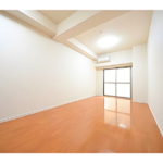 ヴィーダ・スカイコート品川 108-11