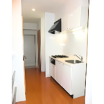 ヴィーダ・スカイコート品川 108-9