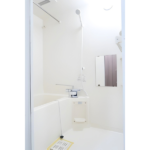 Ｂｒａｎｃｈｅ大森山王 305-10