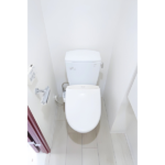 Ｂｒａｎｃｈｅ大森山王 305-11