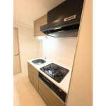 ＬａＳａｎｔｅ柏 0811-9