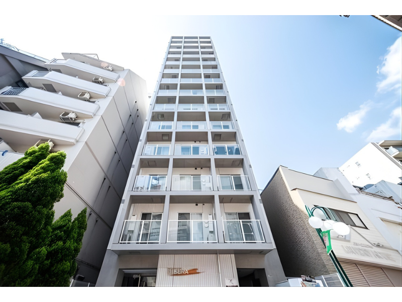 ARTESSIMO LINK DI SERA 1101