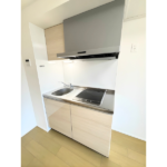 オークノワール綾瀬 1101-14