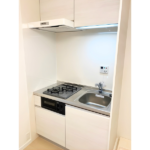 セブンスターマンション金町 207-10