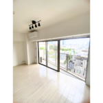 セリーヌ元麻布 901-3