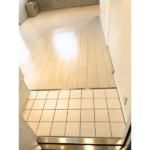 ラフィネ東雪谷 301-3