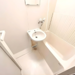 ルーエ大和田 303-11