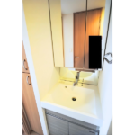 ルーブル亀戸天神前 703-7