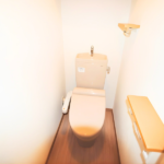 ルーブル亀戸天神前 703-9