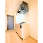 ルーブル川崎中丸子参番館 409-11