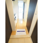 レジディア武蔵小杉 0213-7