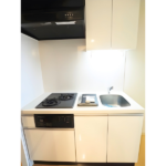 レジディア武蔵小杉 0213-8