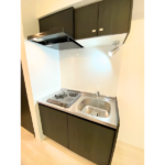 ＡＲＣＯＢＡＬＥＮＯ ＫＡＷＡＳＡＫＩ ＷＥＳＴ 203-11