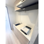 ＡＲＣＯＢＡＬＥＮＯ ＫＡＷＡＳＡＫＩＨＩＲＡＭＡ 202-11