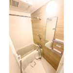 ＡＲＣＯＢＡＬＥＮＯ ＫＡＷＡＳＡＫＩＨＩＲＡＭＡ 202-8