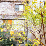 ＴＯＰ学芸大学第４ 301-3