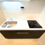 MONOLITH錦糸町 302-8